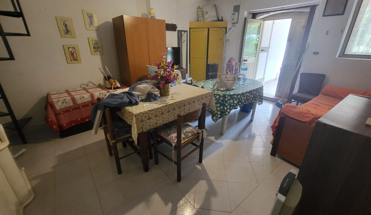WhatsApp Image 2025-05-28 at 12.14.05 (1)